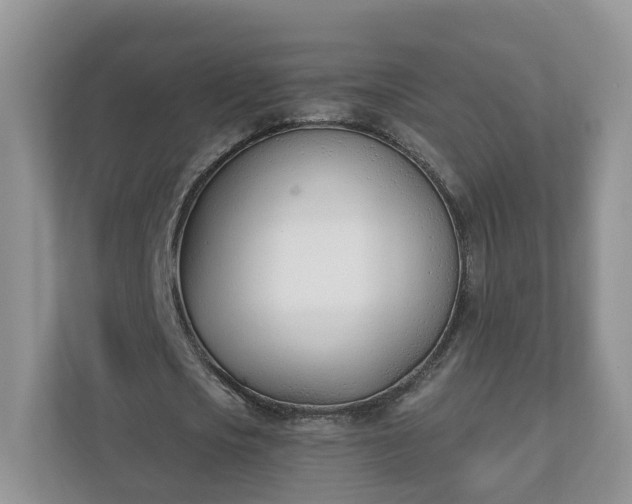 X0000110900721200906251337