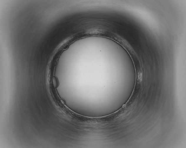 X0000110900724200906251337