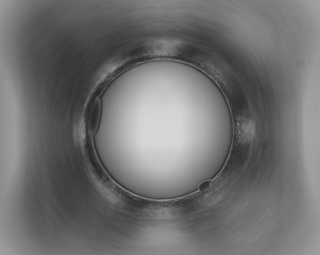 X0000110900726200906251337