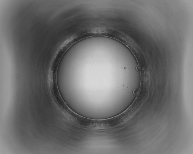 X0000110900727200906251337