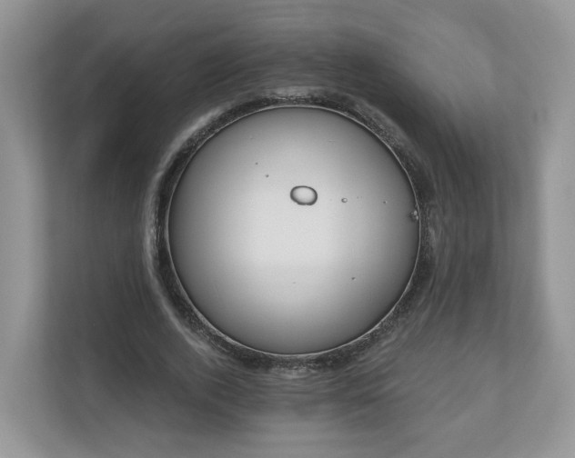 X0000110900728200906251337