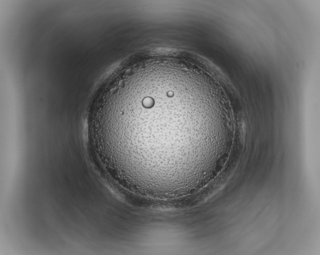 X0000110900729200906251337