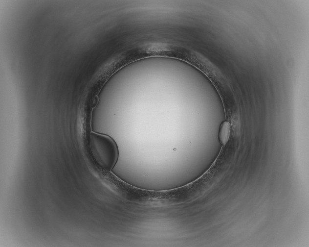 X0000110900732200906251337