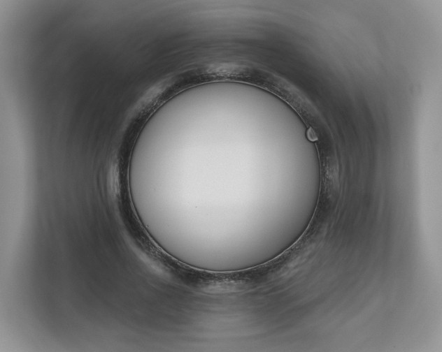 X0000110900734200906251337