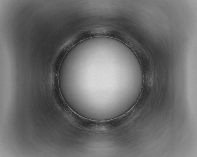 X0000110900735200906251337