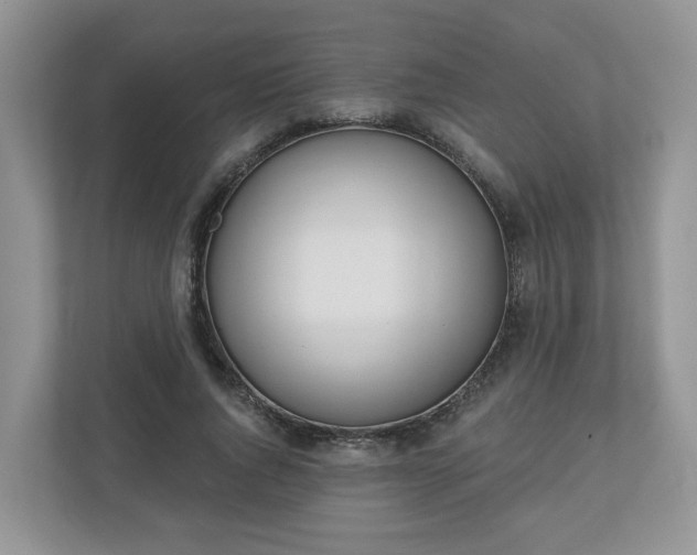 X0000110900736200906251337