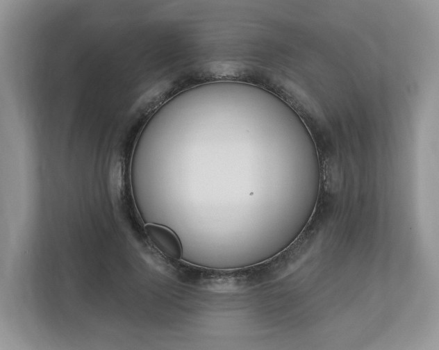 X0000110900740200906251337