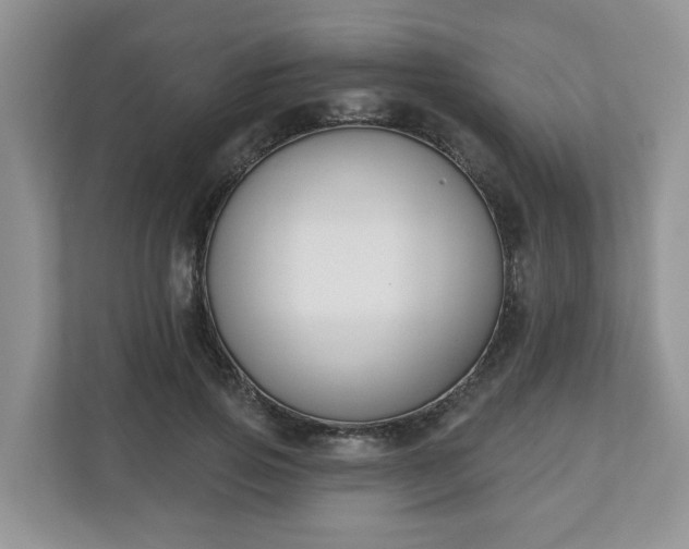 X0000110900741200906251337