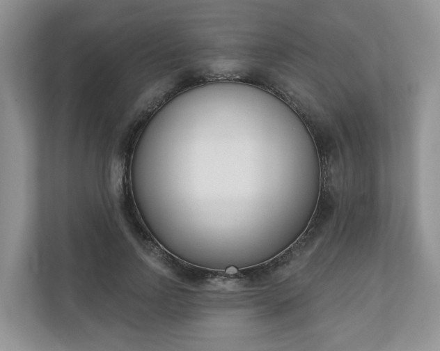 X0000110900742200906251337