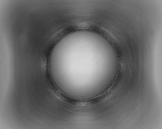 X0000110900745200906251337