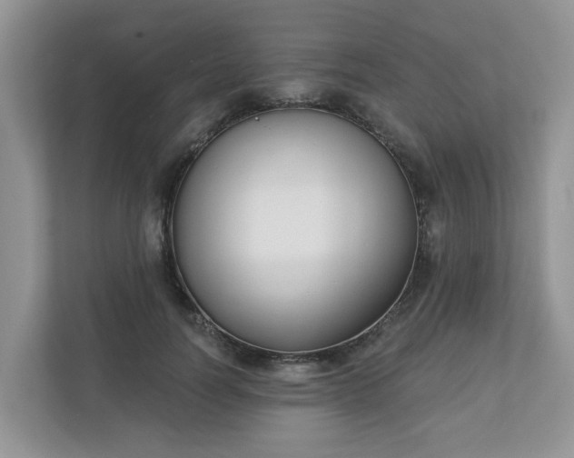 X0000110900746200906251337