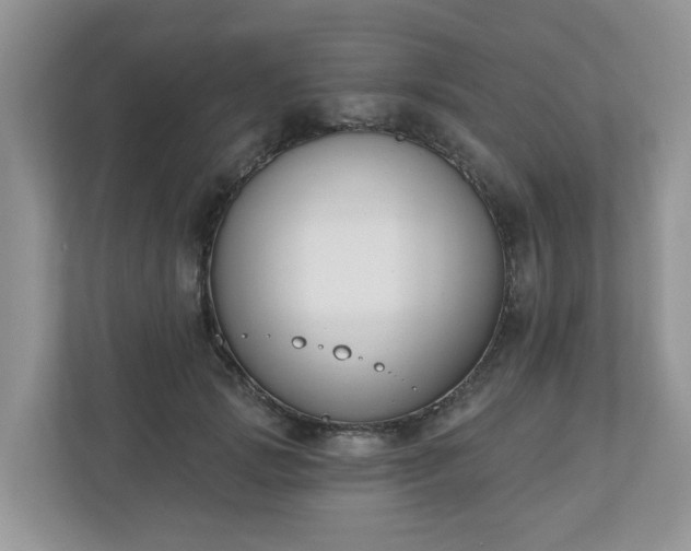 X0000110900749200906251337