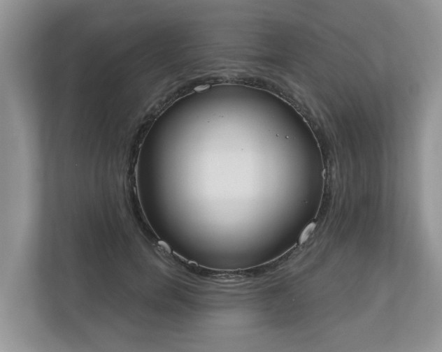 X0000110900750200906251337