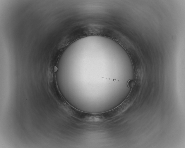 X0000110900751200906251337