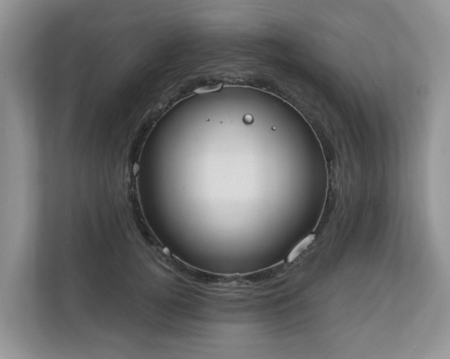X0000110900752200906251337