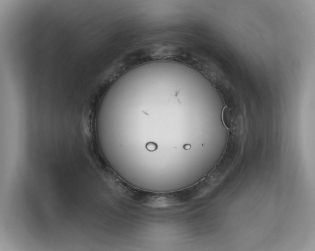 X0000110900755200906251337