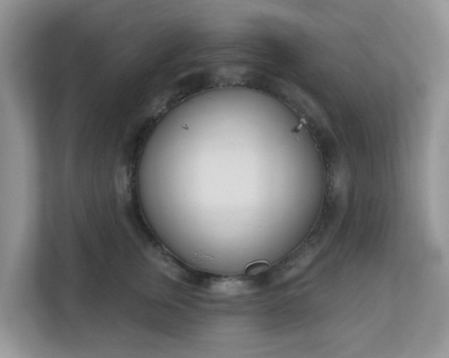 X0000110900759200906251337