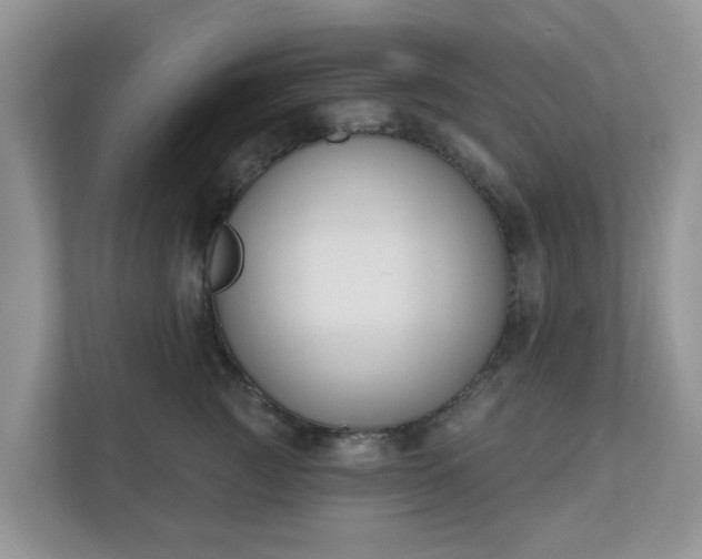 X0000110900761200906251337
