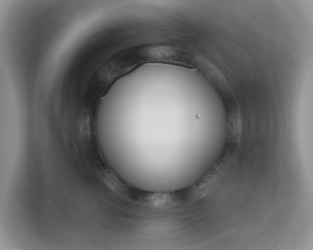 X0000110900762200906251337