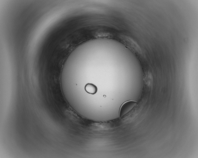 X0000110900763200906251337