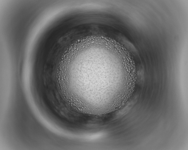 X0000110900765200906251337