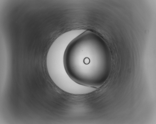 X0000110900768200906251337