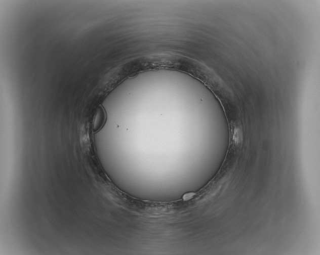 X0000110900771200906251337