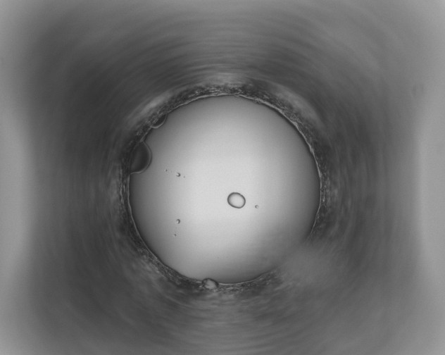 X0000110900773200906251337