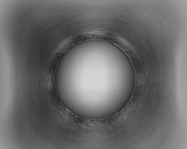 X0000110900774200906251337