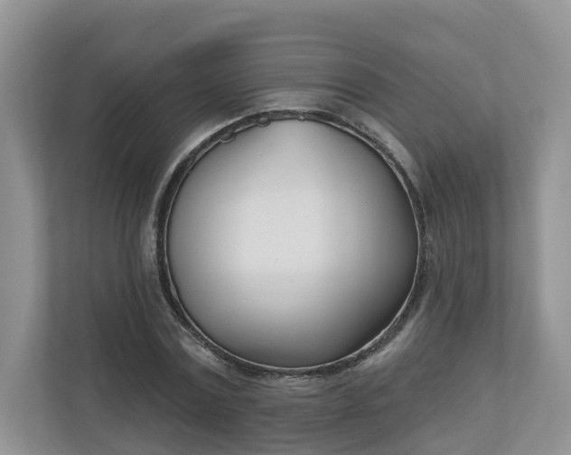 X0000110900779200906251337