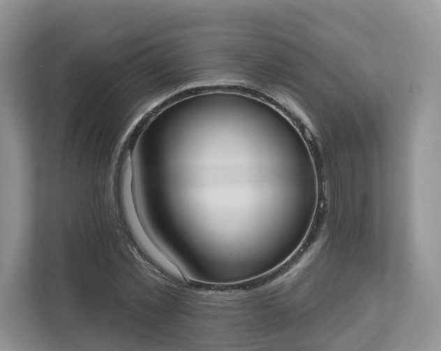 X0000110900781200906251337