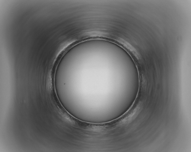 X0000110900782200906251336