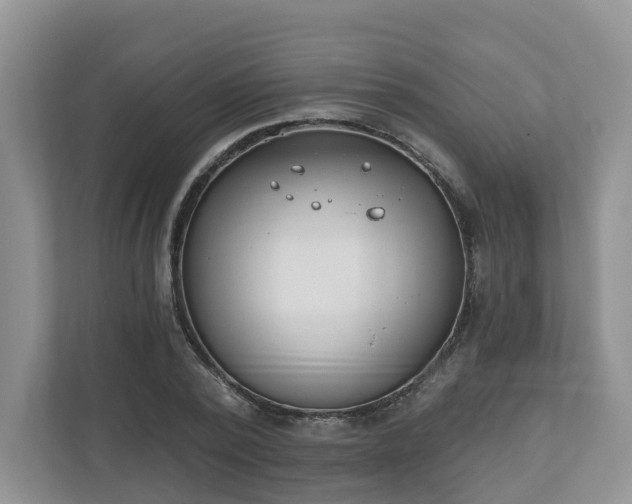 X0000110900784200906251336