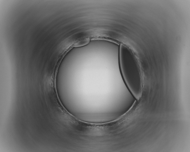 X0000110900785200906251336