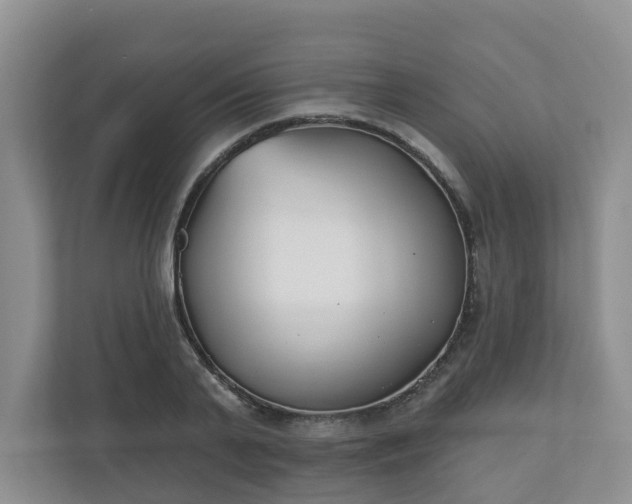 X0000110900791200906251336