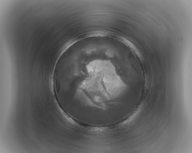 X0000110900802200906251336