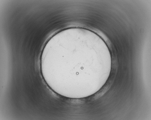 X0000110900807200906251336