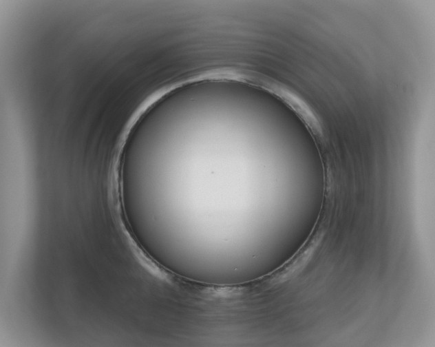 X0000110900808200906251336