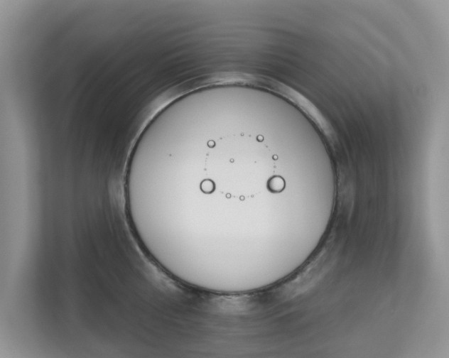 X0000110900810200906251336