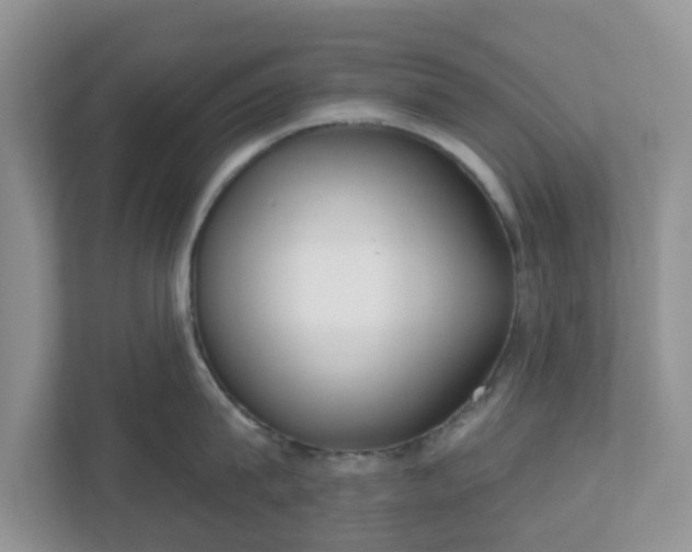 X0000110900815200906251336