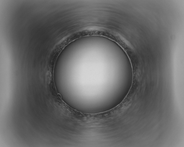 X0000110900821200906251335