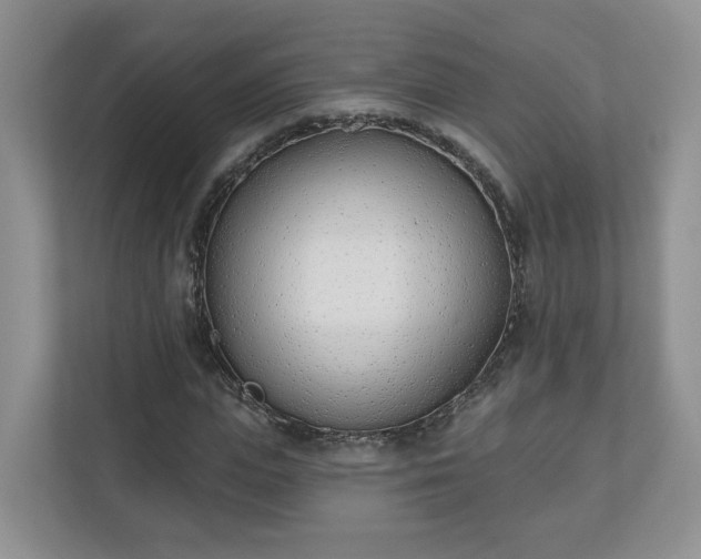 X0000110900823200906251336