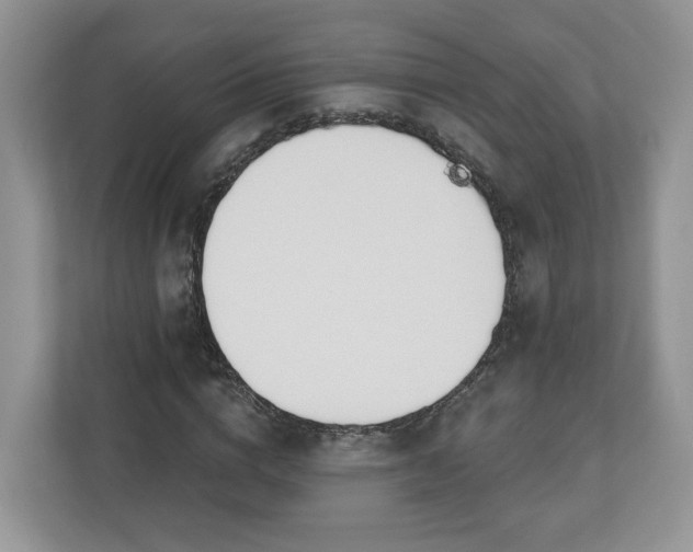 X0000110900824200906251336
