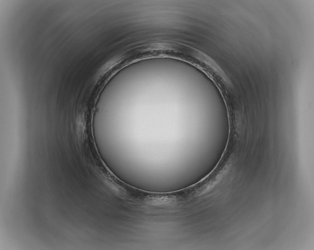 X0000110900826200906251336