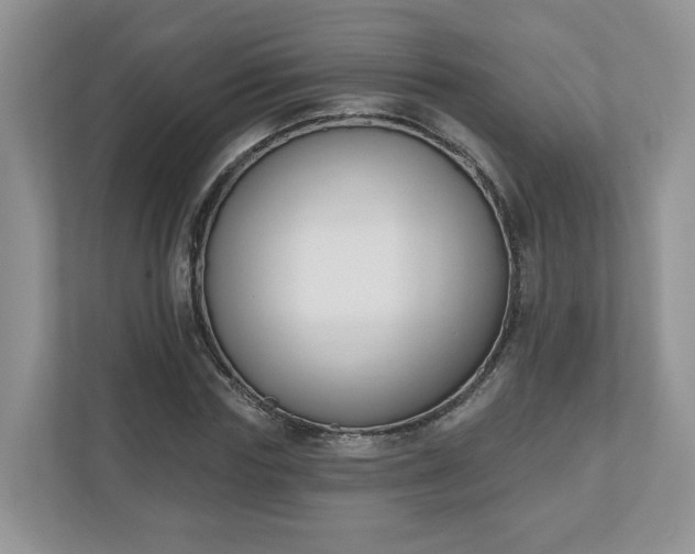 X0000110900827200906251336
