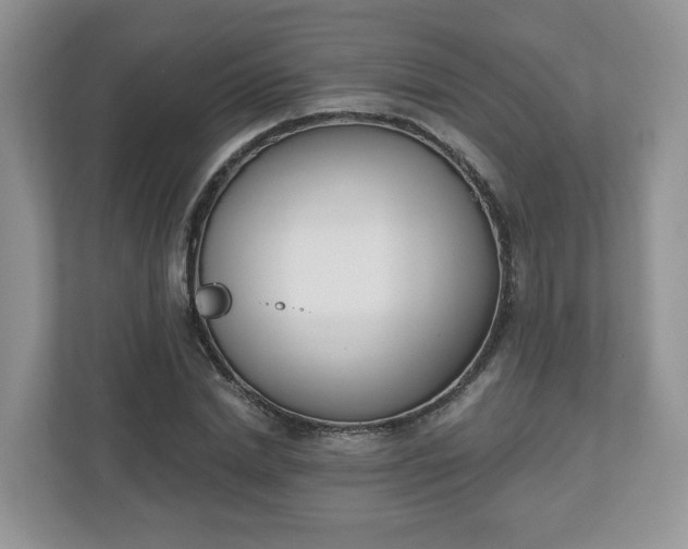 X0000110900830200906251336