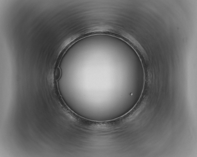 X0000110900834200906251336