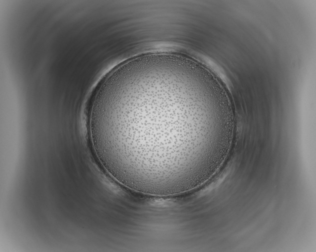 X0000110900835200906251336