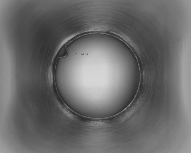 X0000110900838200906251336