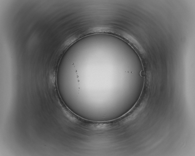 X0000110900841200906251336